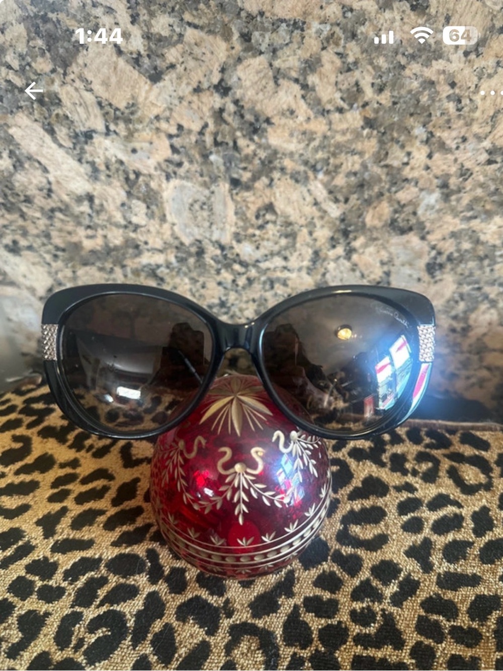 Roberto Cavalli Black Womens Oversized Sunglasses